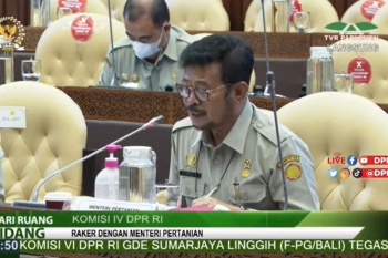 Mentan Syahrul Yasin Limpo sebut produksi sektor pertanian terus tumbuh di 2021