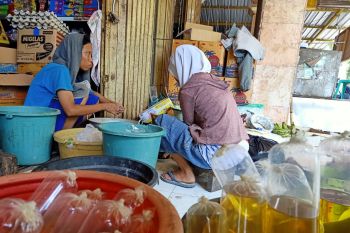 Disdag NTB inginkan pedagang minyak curah ke distributor sesuaikan harga