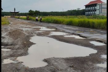 Kondisi jalan menuju Sabah Balau semakin rusak