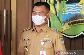Bupati Gunung Kidul belum memikirkan maju kembali pada Pilkada 2024