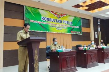 Bupati Katingan harapkan konsultasi publik perkaya RKPD