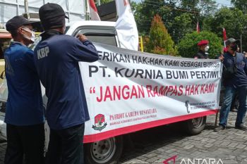 Buruh arang briket berunjuk rasa di DPRD Kulon Progo