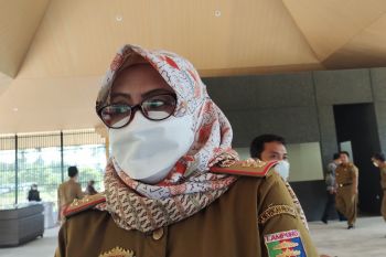 Disnakeswan Lampung targetkan 2022 inseminasi buatan capai 200.000 akseptor