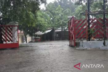 BMKG : Warga NTT waspadai cuaca ekstrim di puncak musim hujan