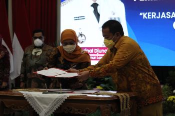 Gubernur: Lampung fokus tingkatkan populasi ternak