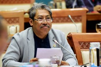 Anggota DPR minta pemerintah mitigasi potensi bencana alam di IKN