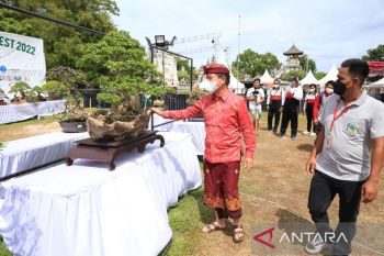 Bupati Klungkung apresiasi "Nusa Penida Bonsai Festival 2022"