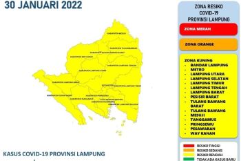 Dinkes: Kasus positif COVID-19 di Lampung bertambah 27 pasien