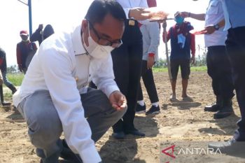 Sigi intervensi pengembangan produk pertanian  bangun ekonomi warga
