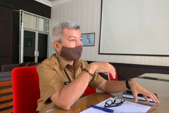 Pemkot catat populasi sapi di Padang sekitar 21.000 ekor