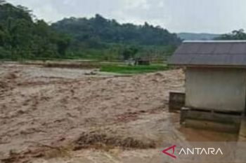 12 rumah di Cianjur terendam banjir puluhan warga mengungsi