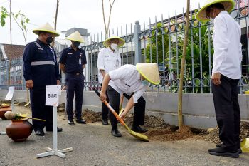 KAI Purwokerto hijaukan empat stasiun melalui penanaman pohon