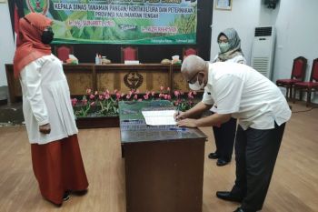 Pemprov Kalteng: Food estate program super prioritas