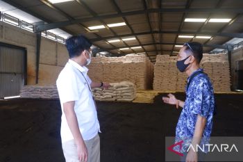 Pupuk Indonesia: Petani tanaman pangan tak bisa akses pupuk ZA