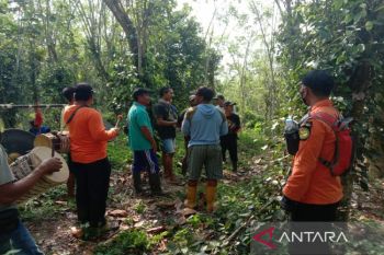 Setelah hilang enam hari, Basarnas temukan petani merica di hutan Kolaka Timur