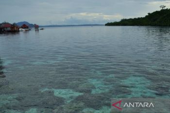LIPI  rencanakan taman nasional Togean sebagai tempat riset tetap