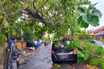 Nilai kerusakan bangunan dampak cuaca ekstrem Bantul capai Rp63 juta