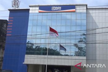 BRI dampingi 53 klaster usaha di Sultra agar naik kelas