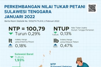 NTP Sulawesi Tenggara pada Januari 2022 turun 0,29 persen
