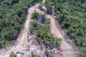 Indonesia dibantu Kanada jalankan program Land4Lives jaga hutan di Sumsel