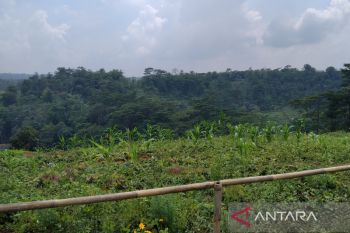 Investor China tertarik bangun kereta gantung di Kudus