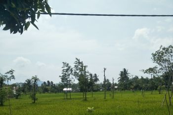 32 desa di Lombok Timur diberikan program PTSL 2022