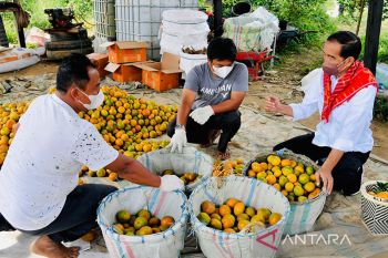 Presiden Jokowi tegaskan infrastruktur jalan tunjang kegiatan produksi