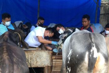 Bandarlampung bersiap jadi penyangga ternak di Provinsi Lampung dan sudah masuk RKPD tahun 2023