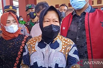 Mensos minta berikan hukuman maksimal hingga efek jera kepada pelaku kekerasan anak