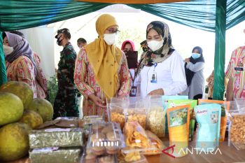 BKKBN : Penguatan program Bangga Kencana di Sulsel dukung kemandirian keluarga