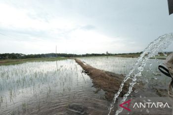 PLN Sulselrabar catat 513 pelanggan ikut program elektrifikasi pada 2021