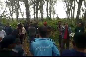 Warga Tulangbawang Barat tebang pohon PT HIM minta ukur ulang lahan