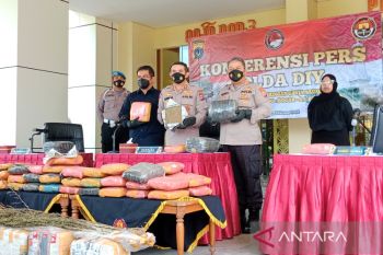 Polda DIY ungkap dua hektare ladang ganja di Aceh