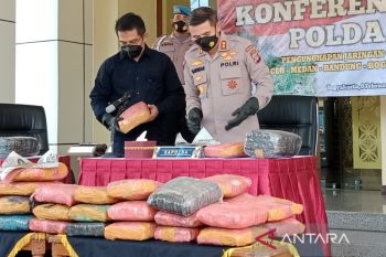 Tersangka penanam ganja di Taman Nasional Gunung Leuser terancam hukuman mati