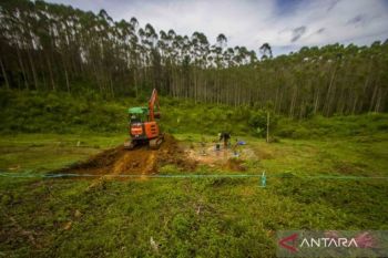 Pembanguan IKN Nusantara masuk proyek prioritas nasional