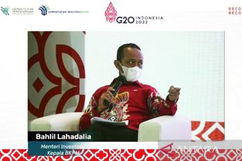 Pemerintah Indonesia tawarkan 47 proyek investasi senilai Rp155,12 triliun