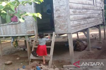 5.988 anak keluarga miskin di Pesisir Selatan putus sekolah