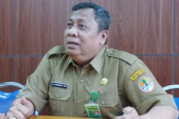 Populasi burung kakatua jambul kuning  di Sulteng tersisa dua ekor