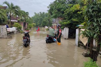 Kali Lamong meluap, delapan desa di Gresik tergenang banjir