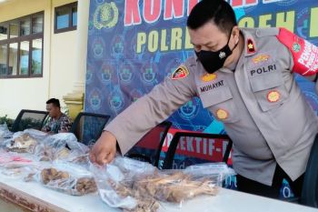 Polisi tangkap pelaku perdagangan harimau sumatera