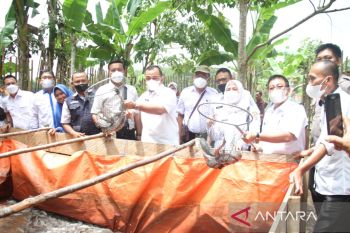 Dinas Perikanan OKU dorong masyarakat budidaya ikan lele