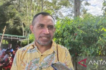 KPA Jayawijaya akui pandemi mempersulit pendataan ODHA
