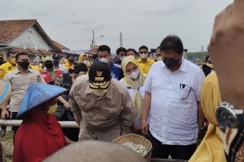 Menko: Sentra ikan teri asin Pulau Pasaran perlu dikelola lebih baik
