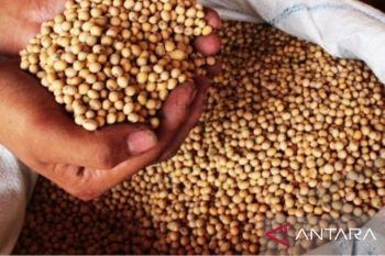 Disperindag: Harga kedelai naik belum pengaruhi perdagangan di Sulut