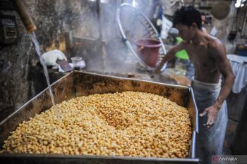 Harga kedelai impor di Kudus naik terus, kini capai Rp11.000/kg