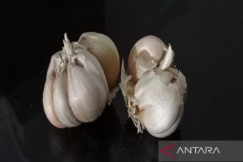 Disperindag Sumut berupaya kendalikan  kenaikan harga bawang putih
