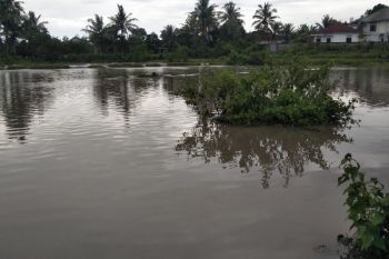 Ratusan rumah warga di Lombok Tengah terendam banjir