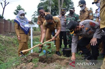 Pemkab Solok Selatan akan sebar tanaman bernilai ekonomis ke masyarakat