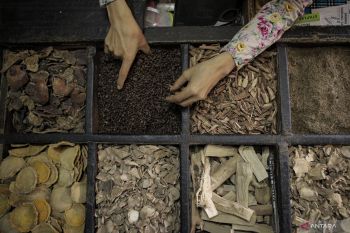 Tanaman herbal bisa jadi opsi  pengembangan obat terapi COVID-19