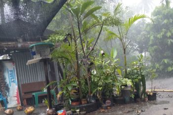 BMKG: Wilayah Sumsel diprakirakan berawan  hingga hujan